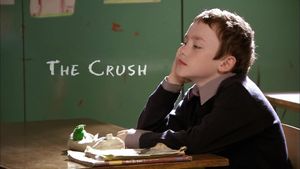 The Crush's poster