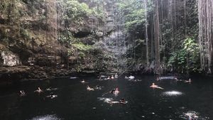Cenote's poster