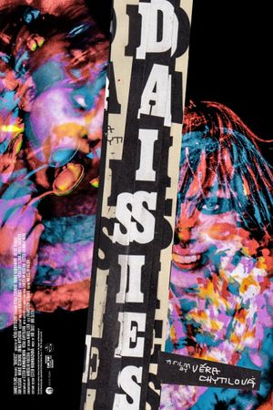 Daisies's poster