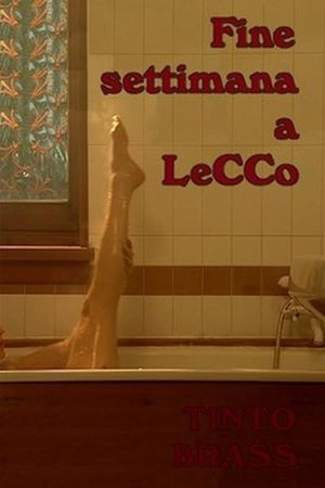 Weekend in Lecco's poster