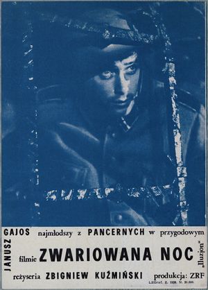 Zwariowana noc's poster image