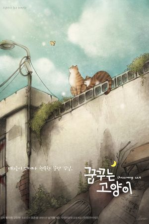 Dreaming Cat's poster image