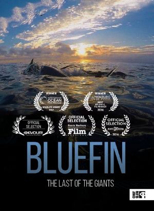 Bluefin's poster
