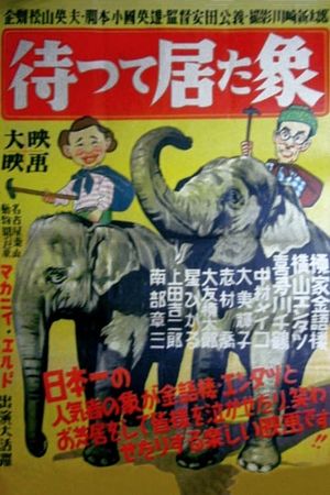 The Elephant Who Waited's poster