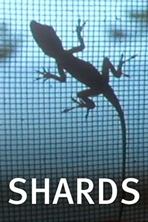 Shards's poster