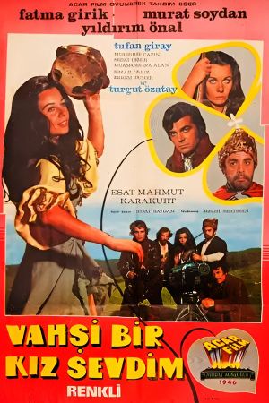 Vahsi Bir Kiz Sevdim's poster