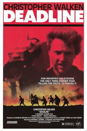 Witness in the War Zone's poster