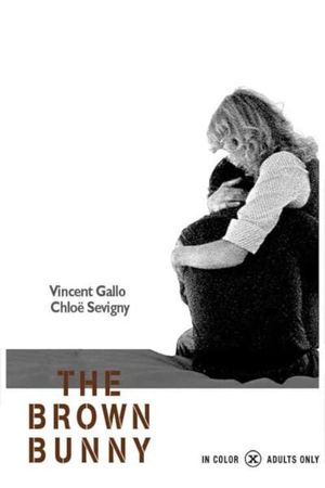The Brown Bunny's poster