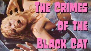The Crimes of the Black Cat's poster