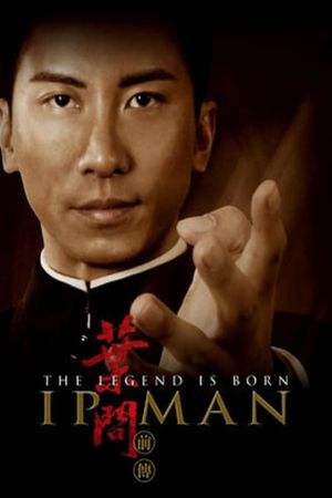 The Legend Is Born: Ip Man's poster