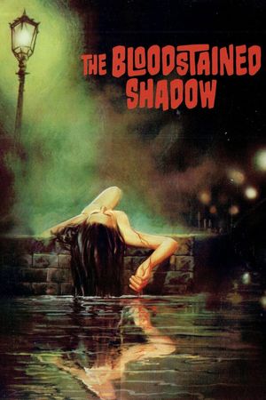 The Bloodstained Shadow's poster