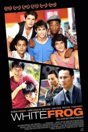 White Frog's poster