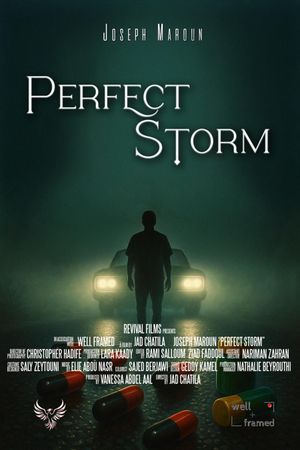 Perfect Storm's poster