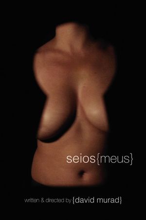 Seios Meus's poster