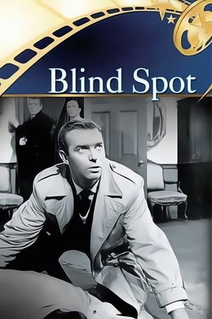 Blind Spot's poster