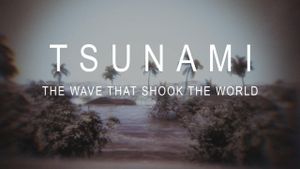 Tsunami 2004: Wave That Shook the World's poster