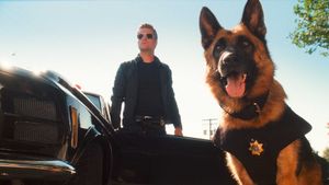 Cats & Dogs: The Revenge of Kitty Galore's poster