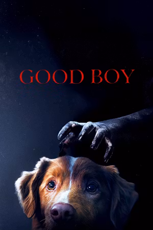 Good Boy's poster