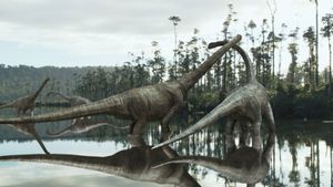 Dino King's poster