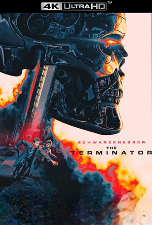 The Terminator's poster