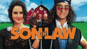 Son in Law's poster