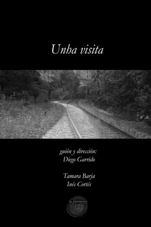 Unha visita's poster image