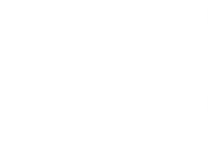 Che: Part One's poster