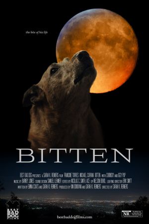 Bitten's poster