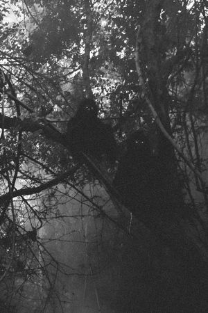 Uncle Boonmee Who Can Recall His Past Lives's poster