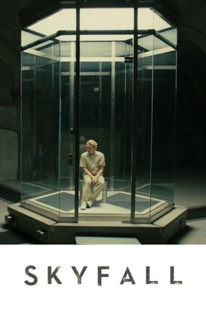 Skyfall's poster