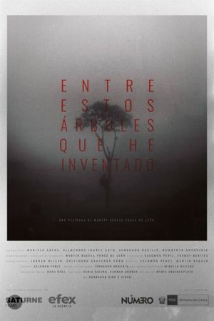 In between invented trees's poster