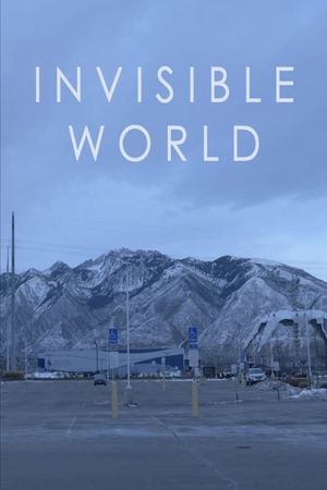 Invisible World's poster