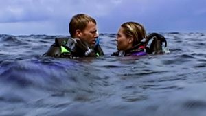 Open Water's poster