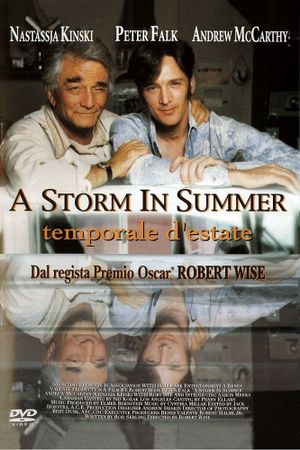 A Storm in Summer's poster