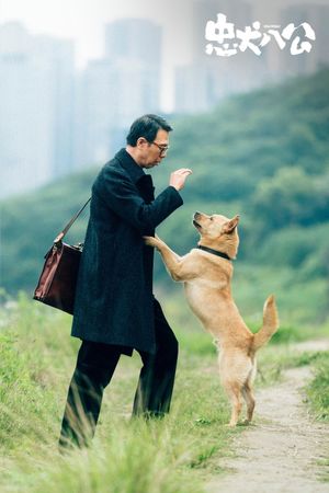 Hachiko's poster