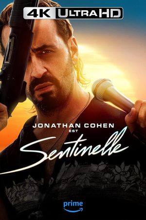 Sentinelle's poster
