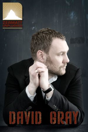 David Gray: Zermatt Unplugged's poster