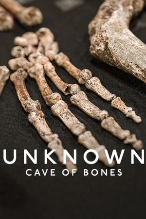 Unknown: Cave of Bones's poster