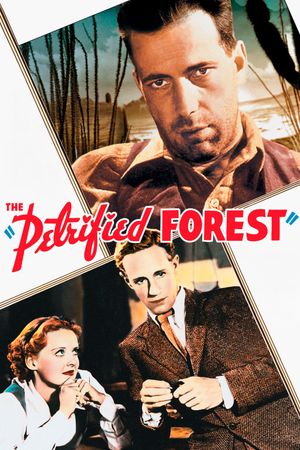 The Petrified Forest's poster