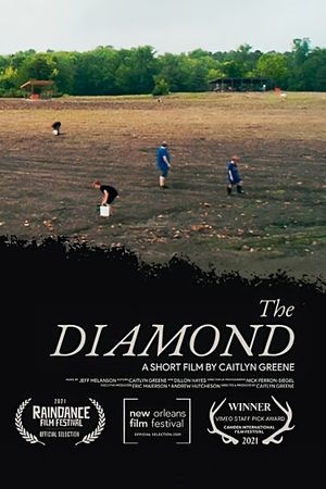 The Diamond's poster