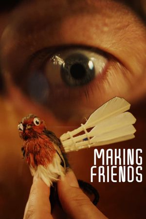 Making Friends's poster image