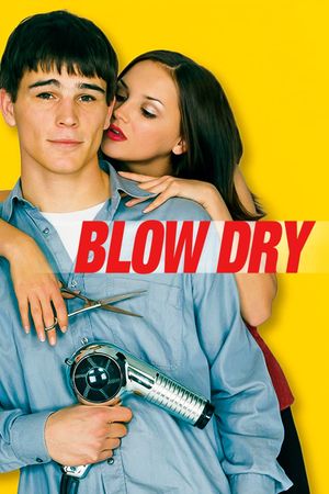 Blow Dry's poster