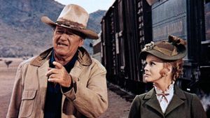 The Train Robbers's poster
