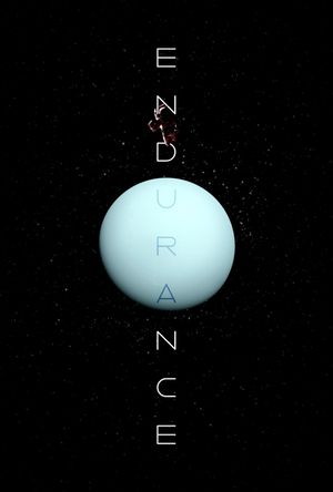 Endurance's poster