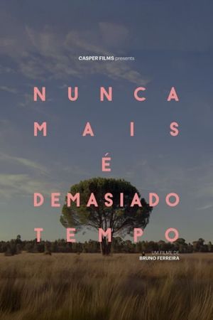 Nunca Mais É Demasiado Tempo's poster