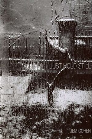 Just Hold Still's poster
