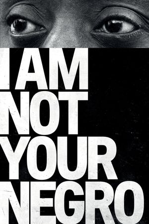 I Am Not Your Negro's poster