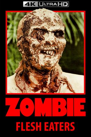 Zombie's poster