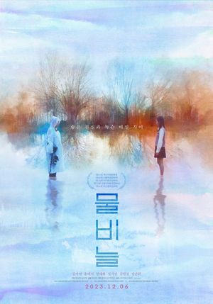 The Ripple's poster