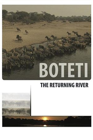 Boteti: The Returning River's poster